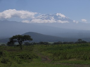 Pohled_Kilimandžáro