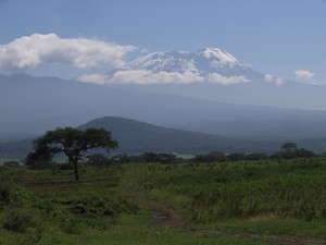 Kilimanjaro